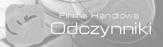 Odczynniki Katowice